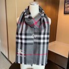 Burberry Scarves 387