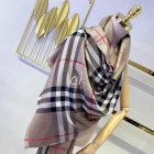 Burberry Scarves 479