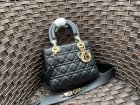 DIOR High Quality Handbags 99