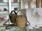 Chloe Original Quality Handbags 79