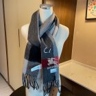 Burberry Scarves 255