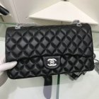 Chanel High Quality Handbags 105