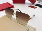 Cartier High Quality Sunglasses 773