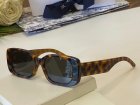DIOR High Quality Sunglasses 343