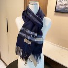 Burberry Scarves 162