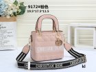 DIOR Normal Quality Handbags 113