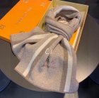 Louis Vuitton Scarves 30
