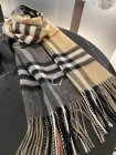 Burberry Scarves 111