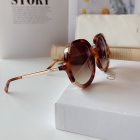 Chloe High Quality Sunglasses 127