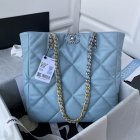 Chanel Original Quality Handbags 1793