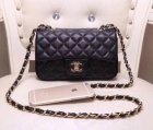 Chanel High Quality Handbags 806