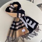 Burberry Scarves 372