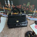 Dolce & Gabbana High Quality Handbags 200