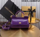 Dolce & Gabbana High Quality Handbags 03
