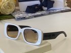 DIOR High Quality Sunglasses 1302