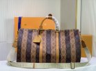 Louis Vuitton High Quality Handbags 124