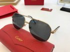 Cartier High Quality Sunglasses 391
