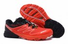 Salomon Men's shoes 18