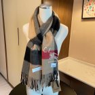 Burberry Scarves 256
