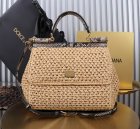 Dolce & Gabbana High Quality Handbags 359