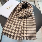 DIOR Scarves 41