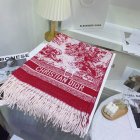 DIOR Scarves 205