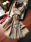 Burberry Scarves 408