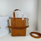 Coach High Quality Handbags 977