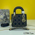 DIOR High Quality Handbags 234