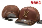 Louis Vuitton Normal Quality Hats 45