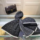 Louis Vuitton Hat & Scarve Set 01