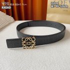 Loewe Belts 106