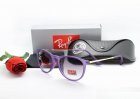 Ray-Ban Normal Quality Sunglasses 161