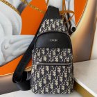 DIOR High Quality Handbags 159