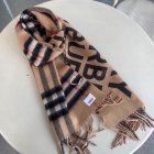 Burberry Scarves 86
