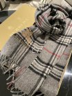 Burberry Scarves 188