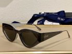 DIOR High Quality Sunglasses 1195