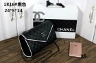 Chanel Normal Quality Handbags 149