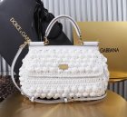 Dolce & Gabbana High Quality Handbags 495