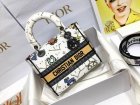 DIOR Original Quality Handbags 1047