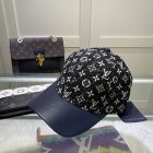 Louis Vuitton High Quality Hats 235