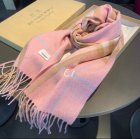 Burberry Scarves 05