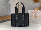 Chloe Original Quality Handbags 353