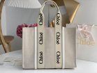 Chloe Original Quality Handbags 171