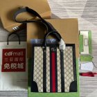 Gucci Original Quality Handbags 728