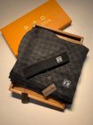 Louis Vuitton Hat & Scarve Set 61