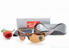 Ray-Ban Normal Quality Sunglasses 101