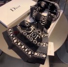 DIOR Scarves 11