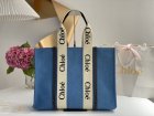 Chloe Original Quality Handbags 144