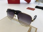 Cartier High Quality Sunglasses 1179